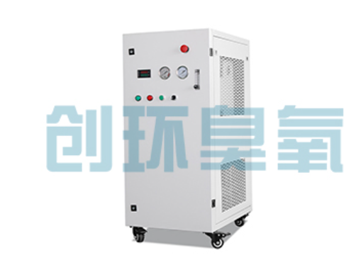 正定石斑鱼养殖水质调控完整指南：臭氧发生器配置与操作步骤
