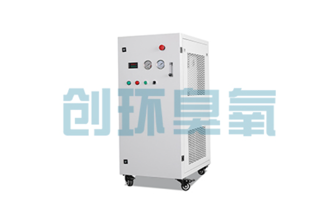 正定比传统换水更高效？臭氧发生器在石斑鱼养殖中的水质净化原理解析